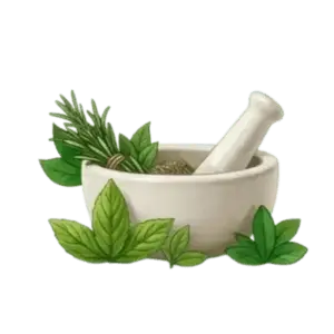 About Treatment Ayushvedaa Wellness 4